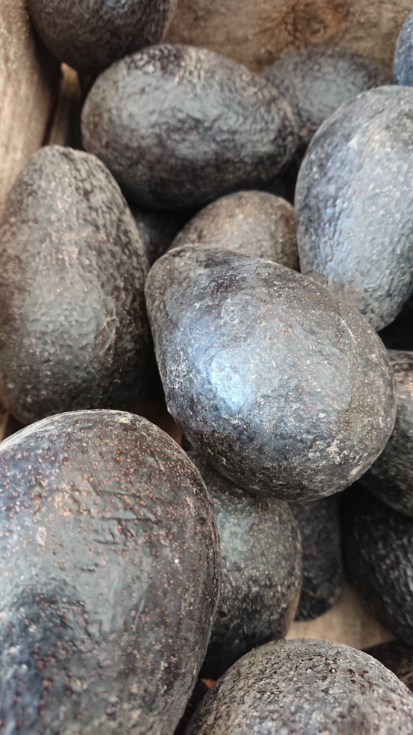 Palta (1 kg)