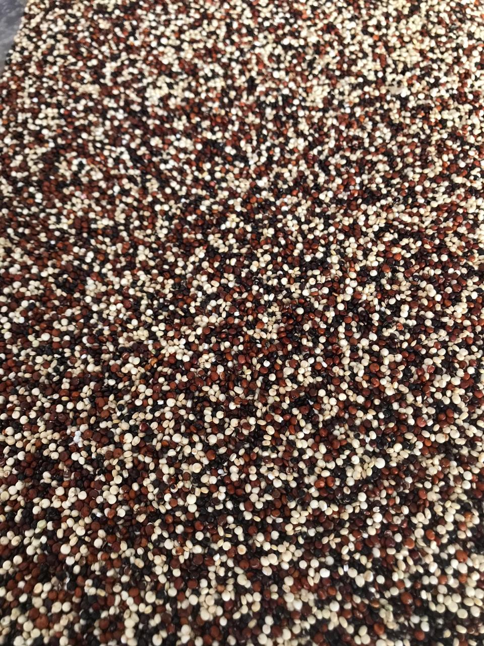 Quinoa mix blanca roja negra (1 kg)